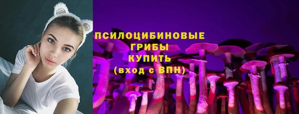дурь Алексин
